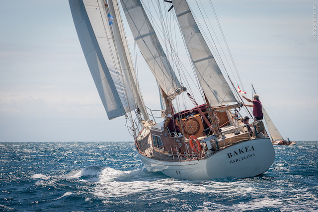 Velero Bakea Regata Vela Classica Barcelona