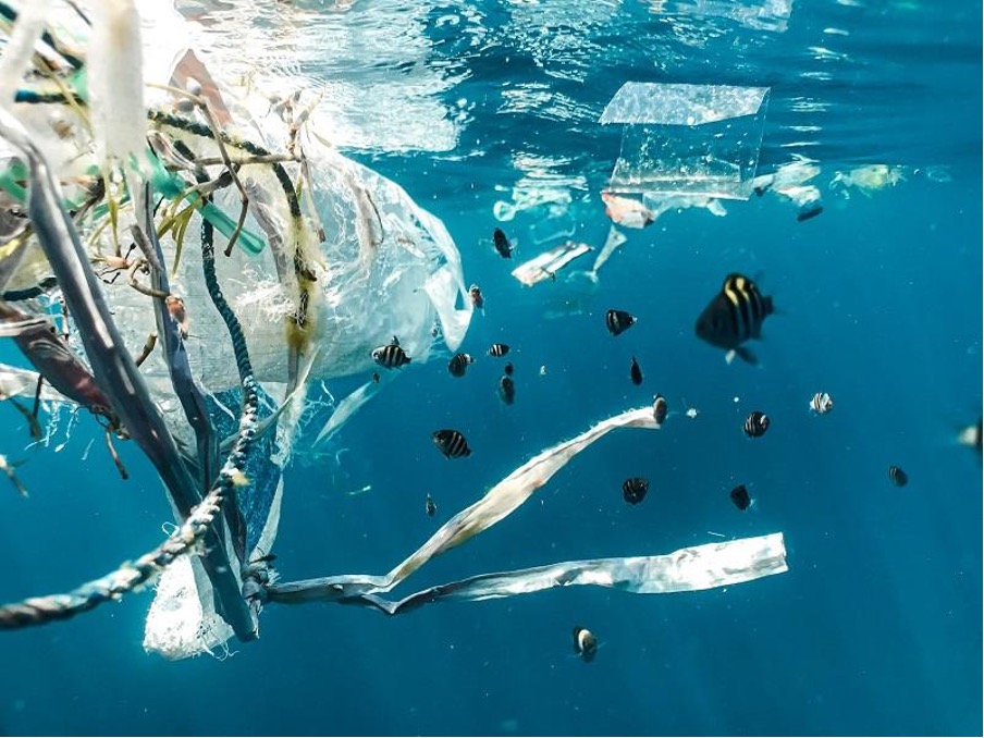 Onderwaterbeeld van drijvend plasticafval omgeven door vissen. 