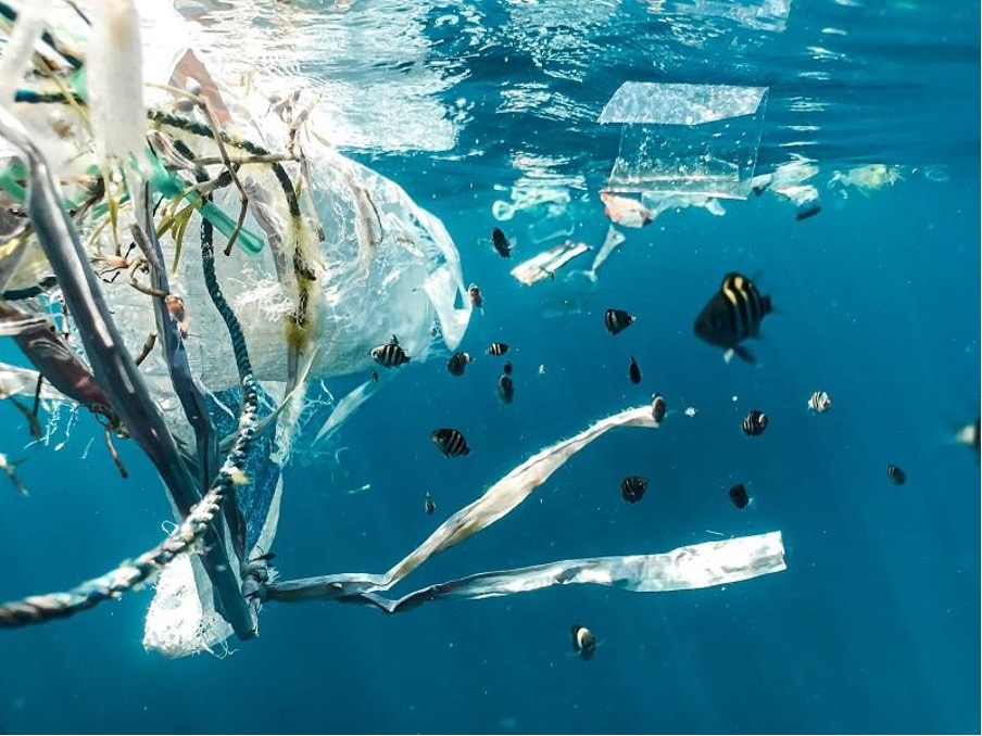 Underwater view of floating plastic waste surrounded by fish.