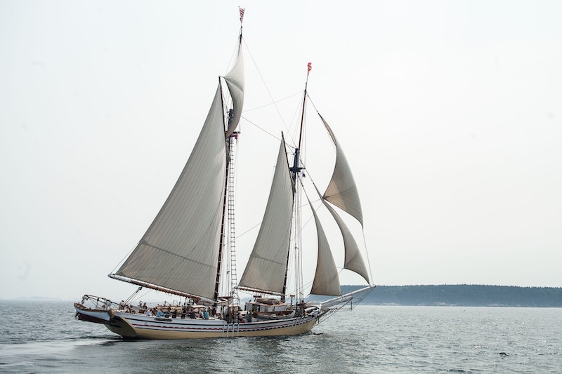 A beautiful schooner with two main sails and four smaller ones.