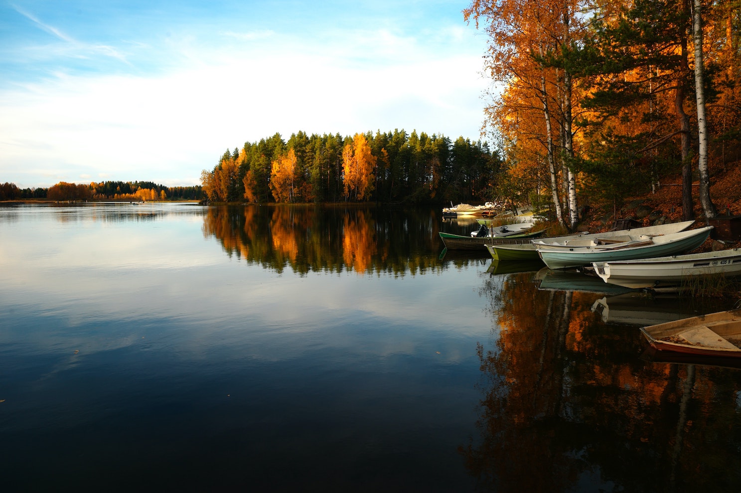 Rowing boats moored in a lake with autumnal trees surrounding. 