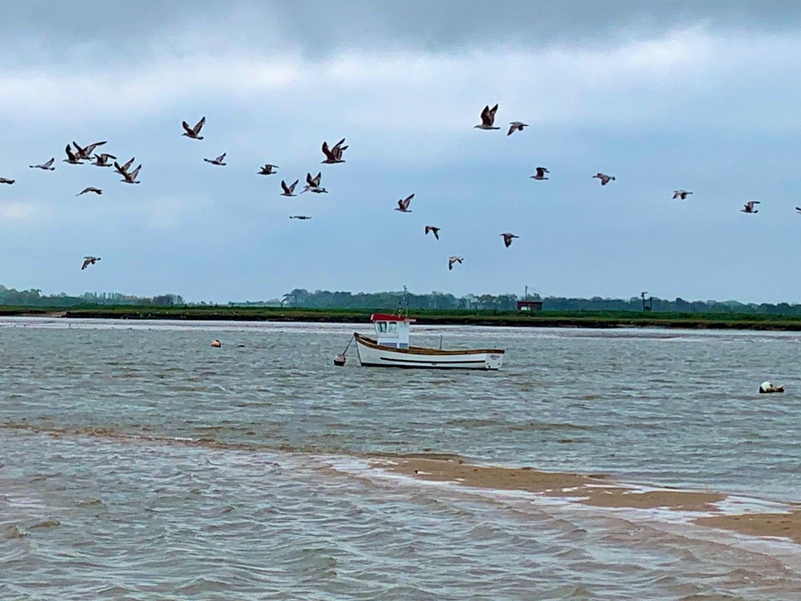 Grey sky looming over a river sandbank